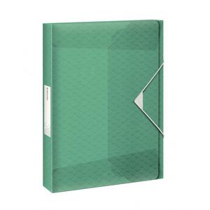 Plastový box s gumičkou Esselte Coulour`Ice zelený - Plastobal