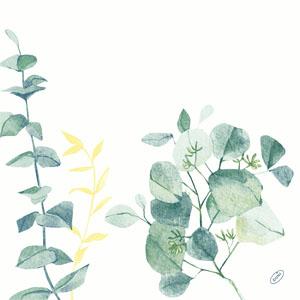 Dunisoft® NAPKINS D-SOFT 40X40CM SPIRE [60 ks] - Plastobal